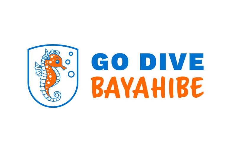 Bayahibe gaat duiken - Initiatie duiken | GetYourGuide
