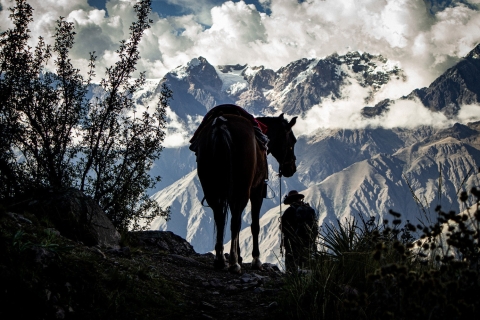 Cusco: Trektocht te paard naar Machu Picchu 5 dagen