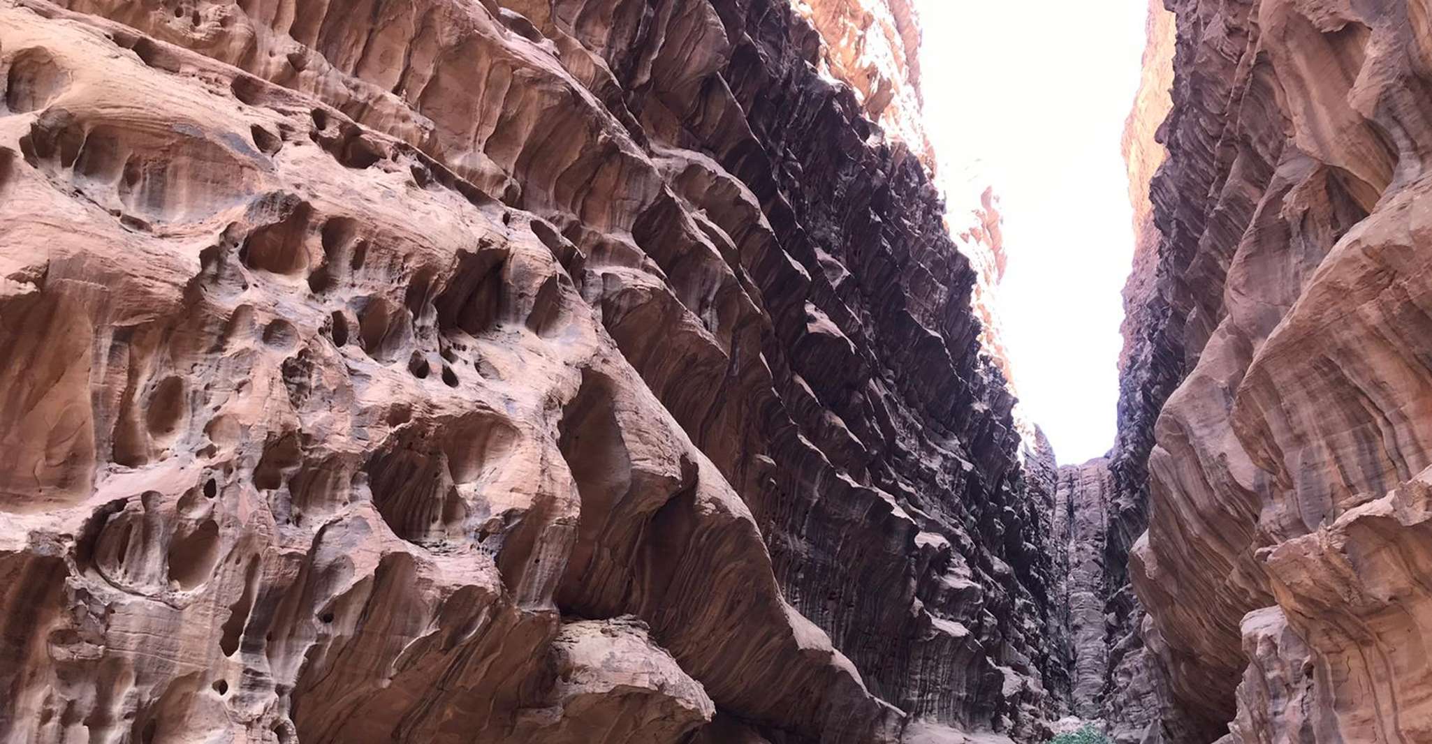 Wadi Rum, 2 hour to 8 hour Jeep Tour & Optional Meal - Hizvo