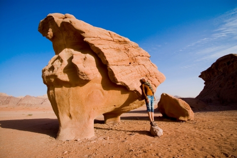 Wadi Rum: Unesco Guided Jeep Tour & Drink With Optional Meal Wadi Rum: Unesco Guided 3 Hour Jeep Tour & Without Lunch