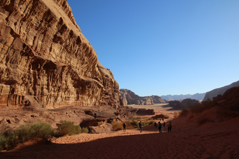 Wadi Rum: Unesco geführte Jeeptour & Getränk mit optionaler MahlzeitWadi Rum: Unesco geführte 5-stündige Jeeptour & freies Mittagessen