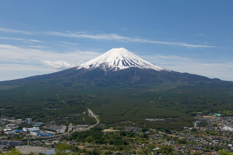 Z Tokio: Mt. Fuji 5th Station i wycieczka autobusowa nad jezioro Kawaguchi