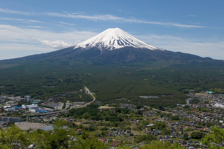 De Tóquio: Mt. Fuji 5th Station &amp; Lake Kawaguchi Bus TourAssentos de última hora (sem almoço e sem ingressos)