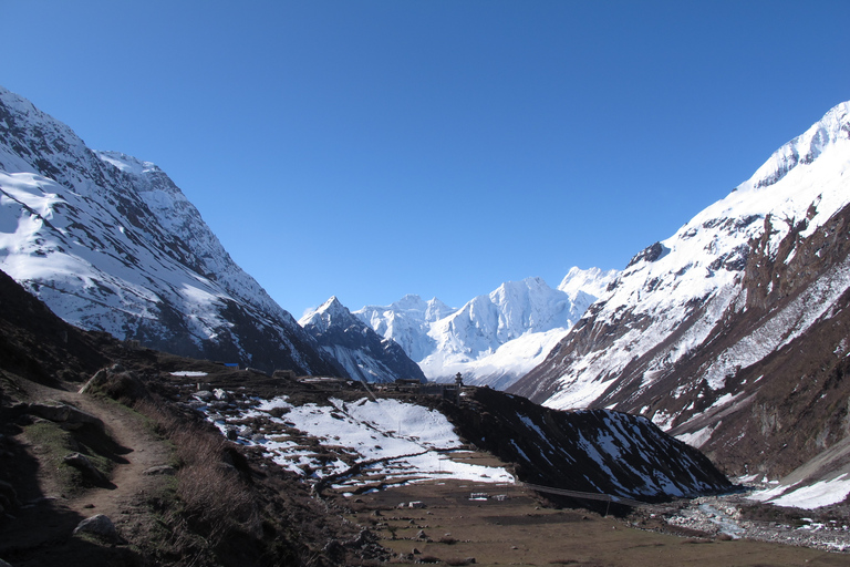 Best Tea House Trek in Nepal: The Manaslu Circuit