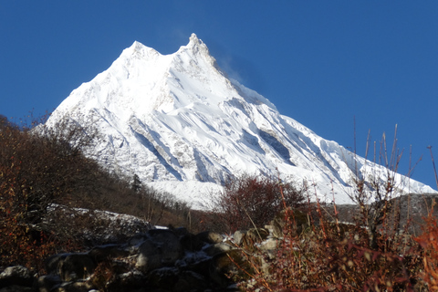 Best Tea House Trek in Nepal: The Manaslu Circuit