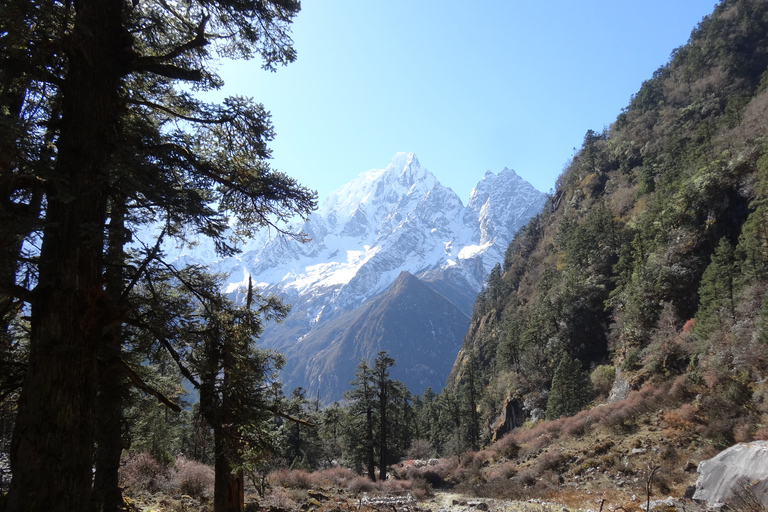 Best Tea House Trek in Nepal: The Manaslu Circuit