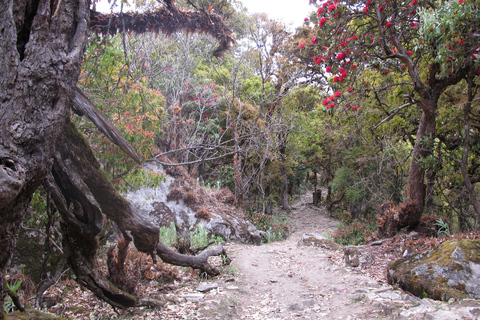 Best Tea House Trek in Nepal: The Manaslu Circuit