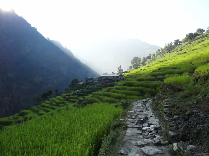 Best Tea House Trek In Nepal: The Manaslu Circuit | GetYourGuide