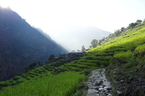 Best Tea House Trek in Nepal: The Manaslu Circuit