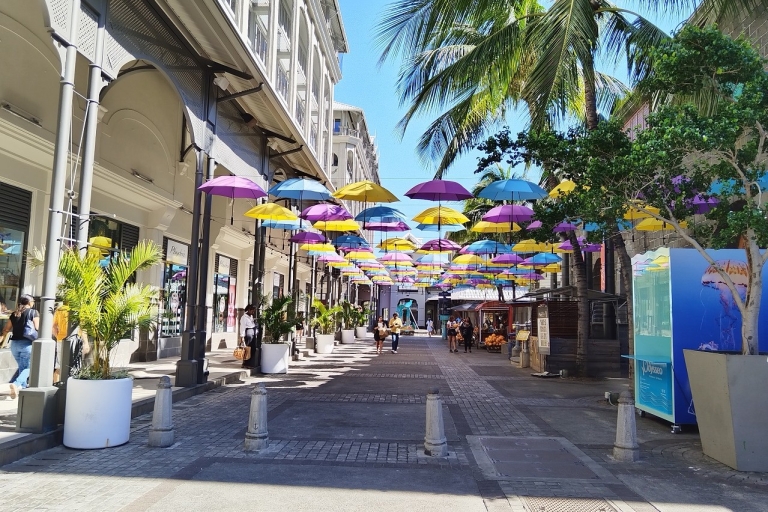 Mauritius: Prywatna całodniowa wycieczka na północ z odbiorem