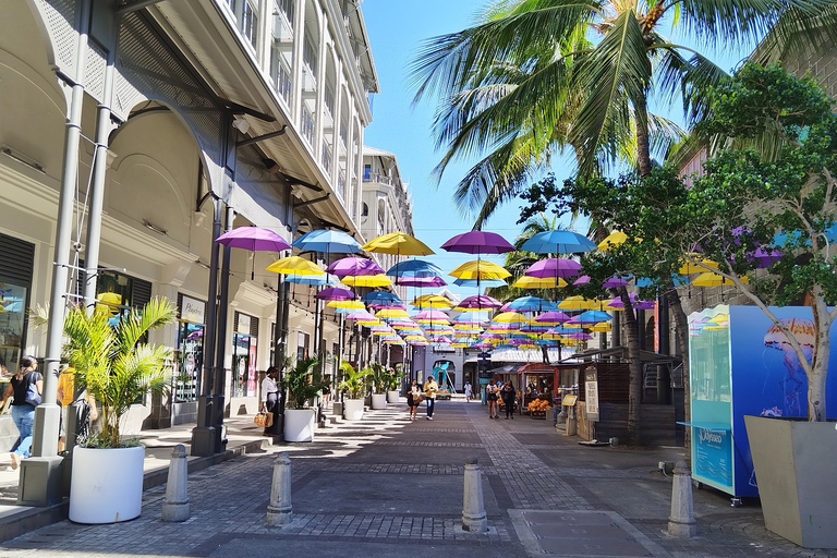 Mauritius: Private Ganztagestour in den Norden mit Abholung