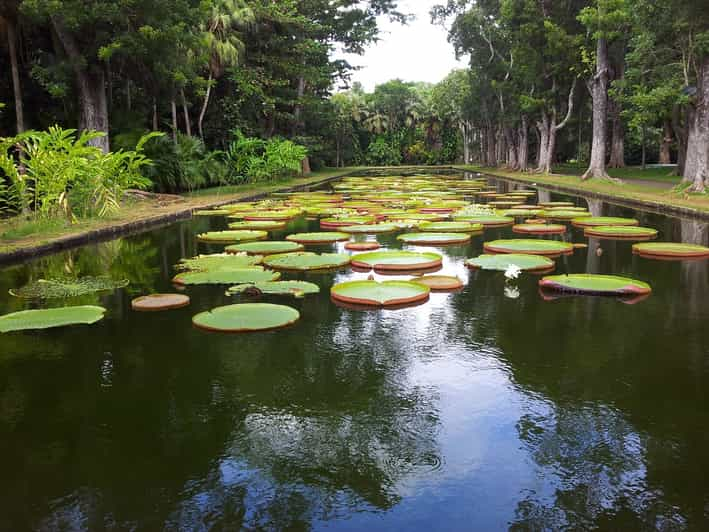 mauritius tour norden