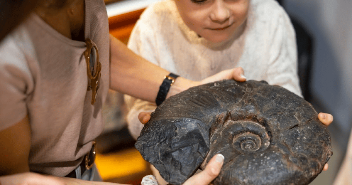 Mutriku Nautilus Flysch Fossils Experience GetYourGuide