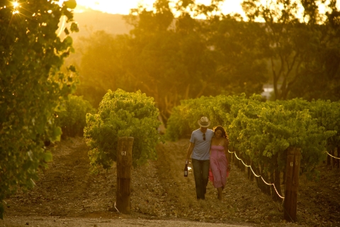 Prywatne wycieczki po winnicach - Dolina BarossaPrywatne wycieczki po winach - Barossa, McLaren Vale, Adelaide Hills