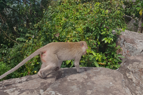 Zwei Tage Preah Vihear Tour