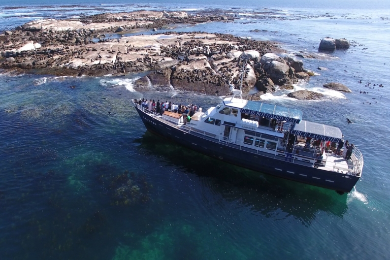 Seal Island, Cape of Good Hope &penguins Full day group Tour Group Tour, Parks Entrance fees and Lunch is not included.