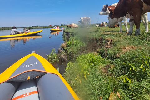 Amsterdã: Tour guiado de bicicleta e caiaque pelo campo