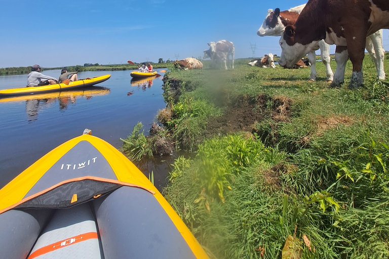 Amsterdã: Tour guiado de bicicleta e caiaque pelo campo