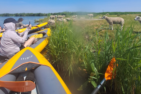 Amsterdam: Tour guidato in bicicletta e kayak della campagna