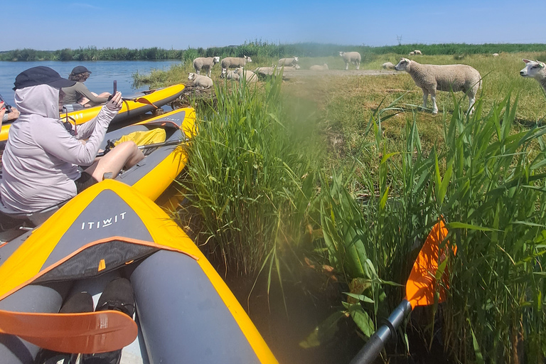 Amsterdam: Tour guidato in bicicletta e kayak della campagna