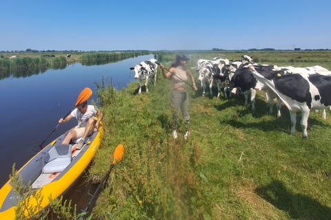 Amsterdã: Tour guiado de bicicleta e caiaque pelo campo