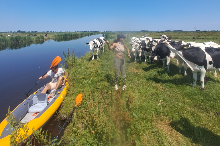 Amsterdã: Tour guiado de bicicleta e caiaque pelo campo