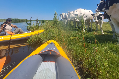 Visite de la campagne d'Amsterdam en vélo et en kayakExcursion à vélo et en kayak dans la campagne amstellodamoise