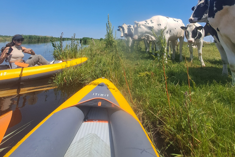 Amsterdã: Tour guiado de bicicleta e caiaque pelo campo