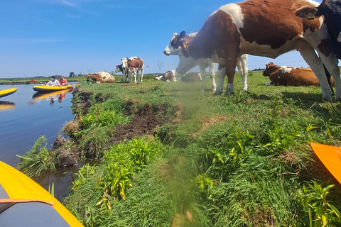 Amsterdã: Tour guiado de bicicleta e caiaque pelo campo