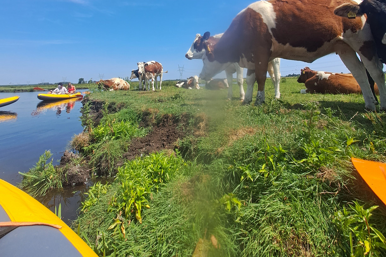 Amsterdã: Tour guiado de bicicleta e caiaque pelo campo