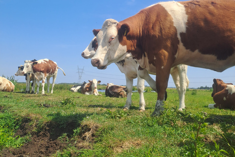 Amsterdam: Countryside Bike and Kayak Guided Tour