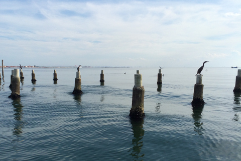 Venezia: Wycieczka prywatna w Barce a Murano, Burano i Torcello