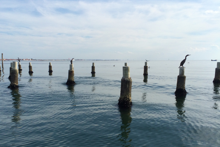 Venezia: Wycieczka prywatna w Barce a Murano, Burano i Torcello