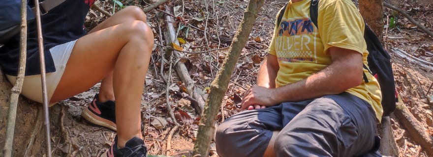 La grande rencontre avec les chimpanzés