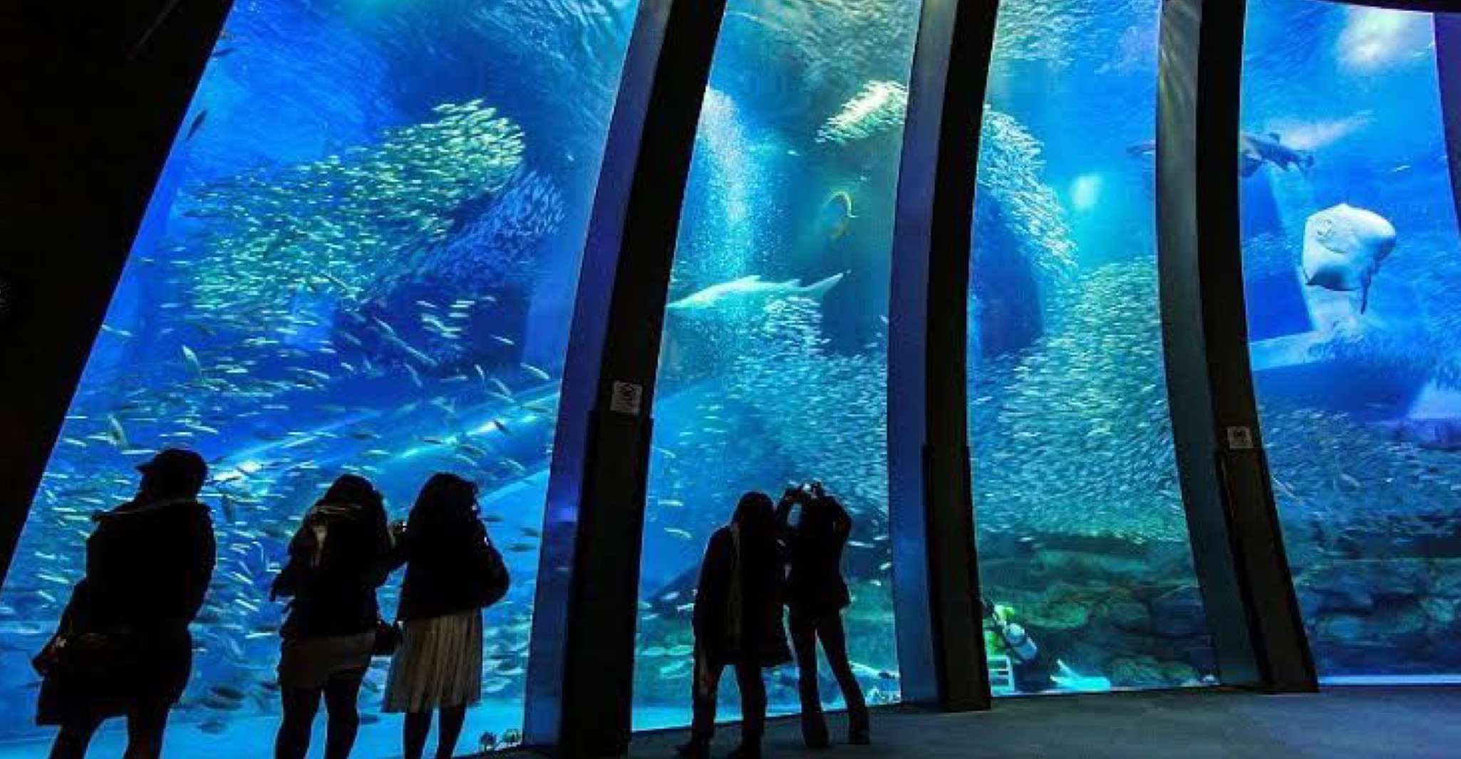 Desde Tokio, Tour privado de Yokohama día completo con / hotel de recogida - Hizvo