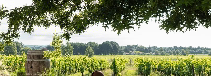 Aux portes de Toulouse : Circuit gourmand - Balade et dégustations
