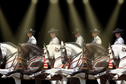 Sevilla: toegangsbewijs paardenshow. Optioneel stoeterijbezoekToegangsbewijs paardenshow en motiverend stalbezoek