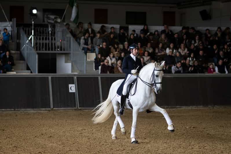 Seville Horse Show Entry Ticket. Optional Stud Farm Visit GetYourGuide