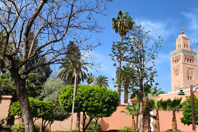 Marrakesh: stadswandeling van 3 uur