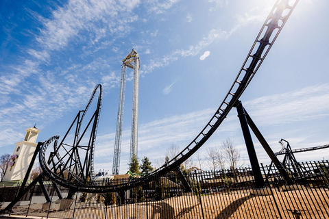 Madryt: Bilet do Parque Warner i transport w obie stronyMadryt: bilet do Parque Warner i transport w obie strony