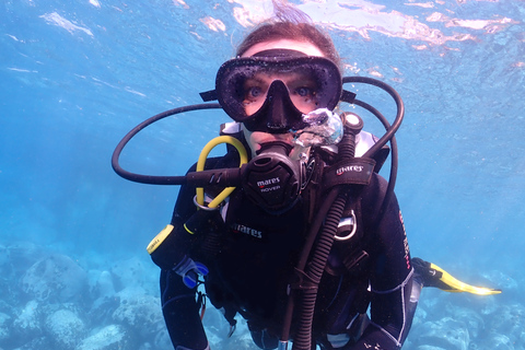 Madeira, Ponta São Lourenço: Buceo para principiantesExperiencia de buceo - Ponta de São Lourenço