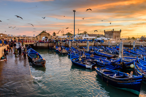 Voyage d'Agadir à Essaouira Visitez la ville ancienne et historique.