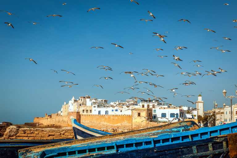 Voyage d'Agadir à Essaouira Visitez la ville ancienne et historique.