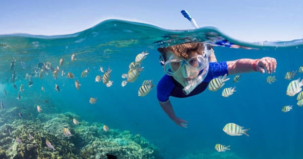 Sahl Hasheesh Snorkeling Cruise Tour with Lunch and Drinks GetYourGuide
