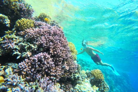 Bahía de Makadi: Excursión en yate con snorkel, deportes acuáticos y almuerzo