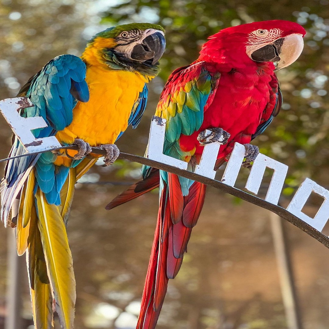Agadir : Visite de Villate Limoune Billet et prise en charge à l'hôtel inclus