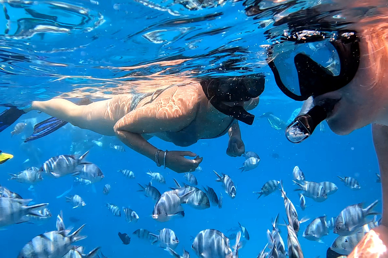 Hurghada: Entdecke Nemo Beach auf der Insel Giftun mit dem SchnellbootNemo Inseln Mit 2 Stops Schnorcheln