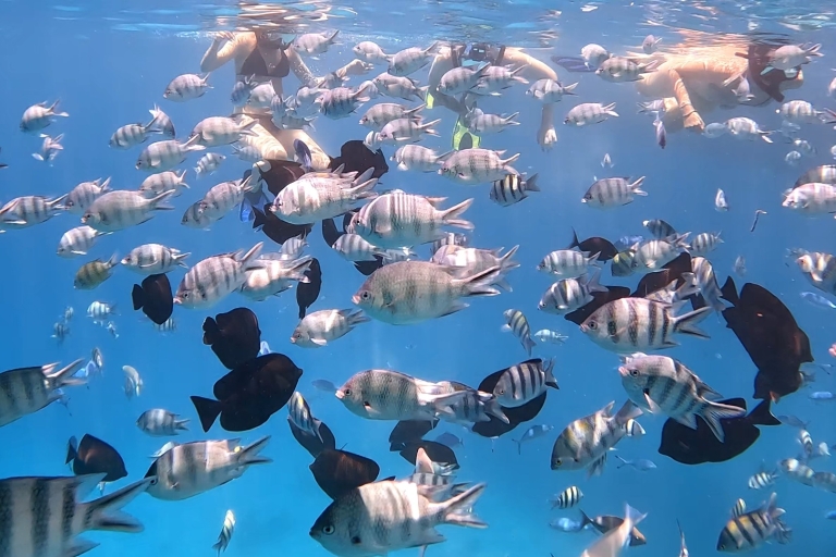 Hurghada: Odkryj plażę Nemo na wyspie Giftun W łodzi motorowejWyspy Nemo Z 2 przystankami na nurkowanie z rurką