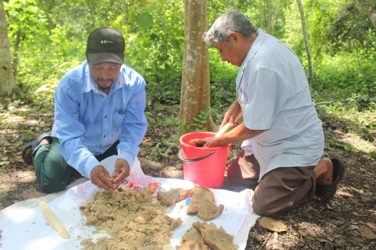 Chichen Itza i niezbadane ruiny Majów YaxunahPrywatna wycieczka z odbiorem