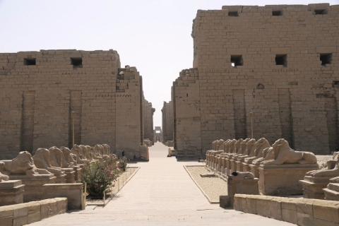 Vlieg boven Luxor in heteluchtballon, geleid bezoek aan 4 tempelsVlieg boven Luxor in heteluchtballon, begeleide bezoeken aan 4 tempels